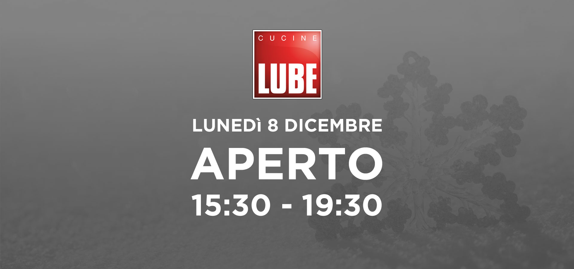 LUBE RA 8 dicembre