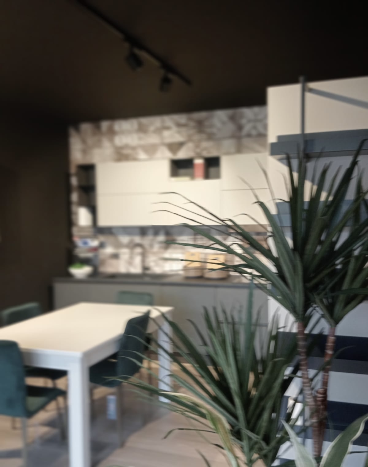 Showroom Gardini